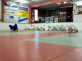 Judo-Lundi0008